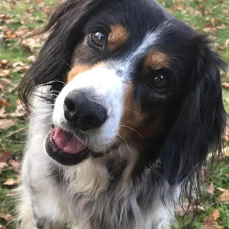 Le Chêne Magique 40200 Margaux *